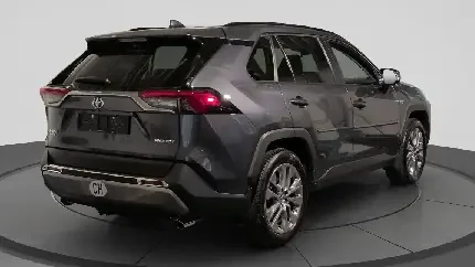 rav-dest